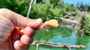 КАРП на КОРКУ ХЛЕБА, поклёвки КРУПНЫМ ПЛАНОМ! НУ и рыбалка ВЫШЛА В 2025