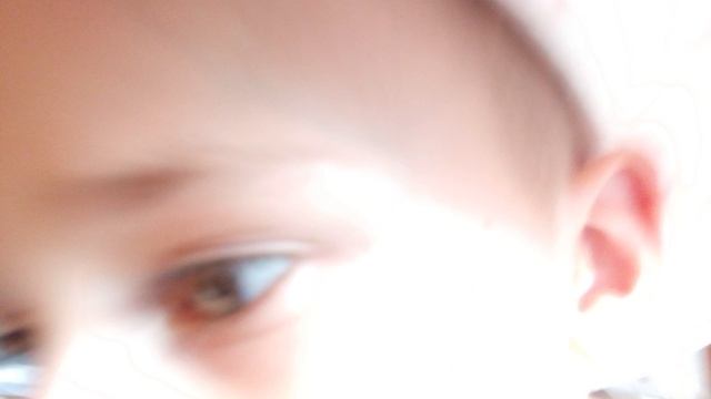 обзор на дачу