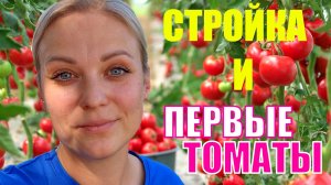 Первые помидоры. Строим бассейн. Холодный июнь на Кубани.