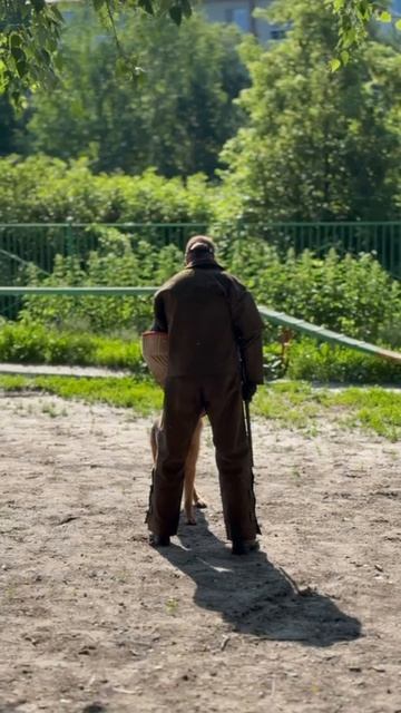 3 Оч/хор Макс Хоф Хугель ЕРХАН +0+ №9. КЧК ТОБОЛЬСК 21 июня`25 Моно немецких овчарок