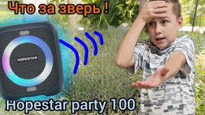 Что за зверь! Колонка hopestar party 100