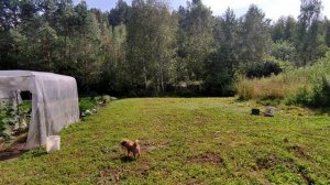 Купили дом в Сибири