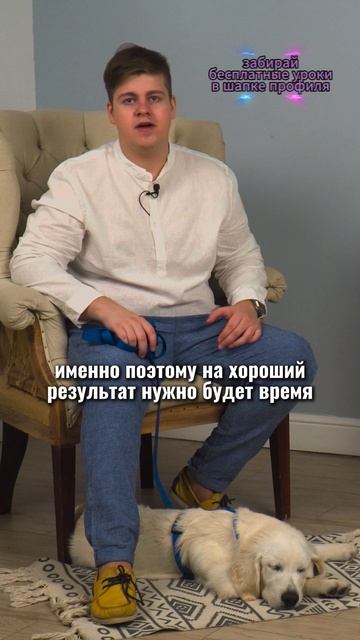 🎁Бесплатные уроки. Жми сюда! смотреть онлайн