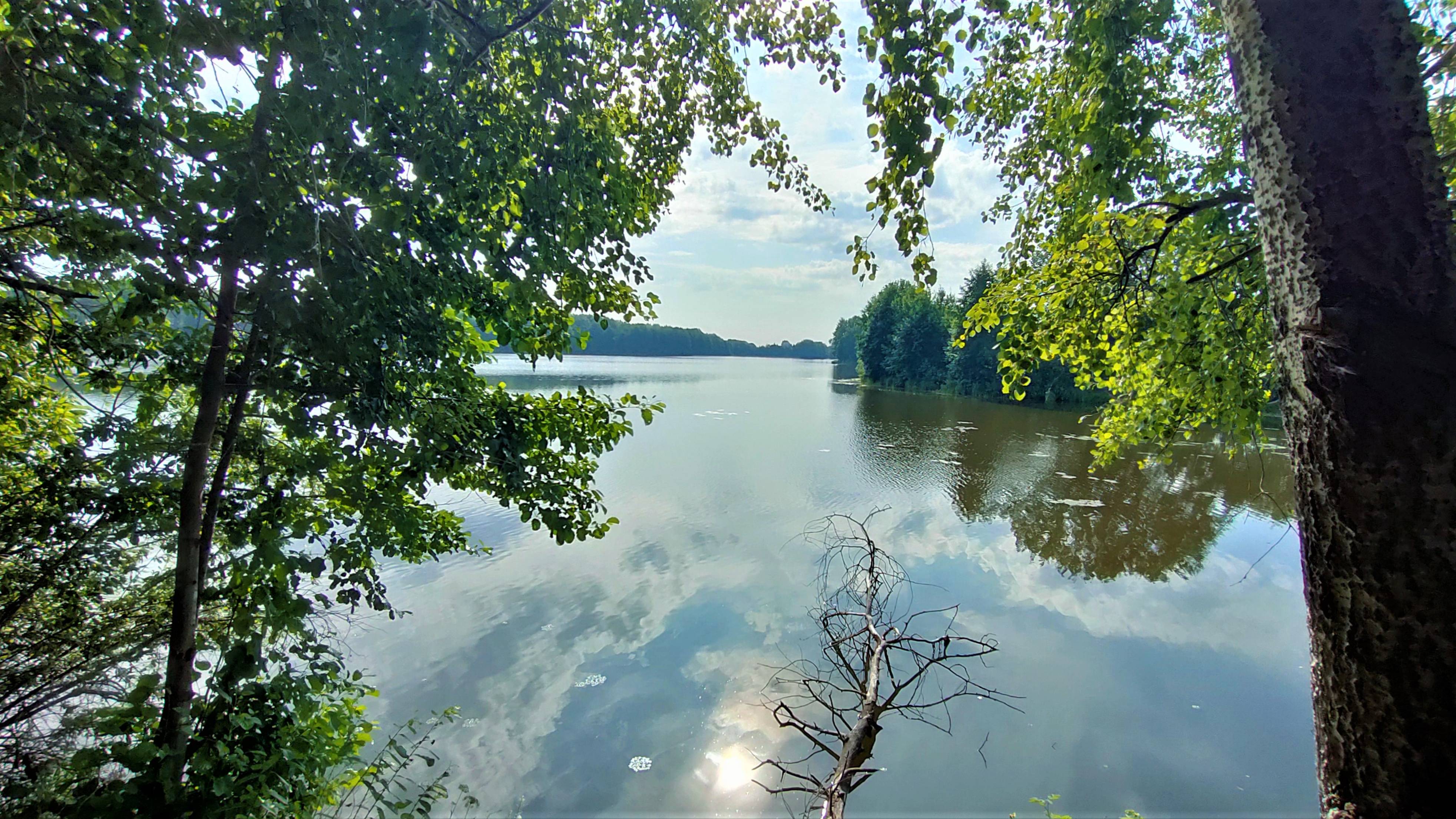 Утро на озере смотреть онлайн