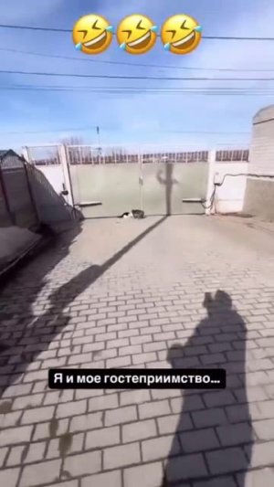 КотоПëс 🤣