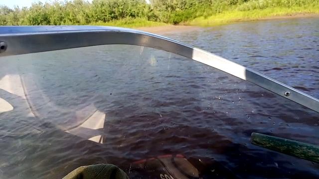 Рыбалка на хищника( часть 1 ) смотреть онлайн
