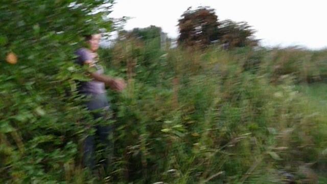 экспедиция 