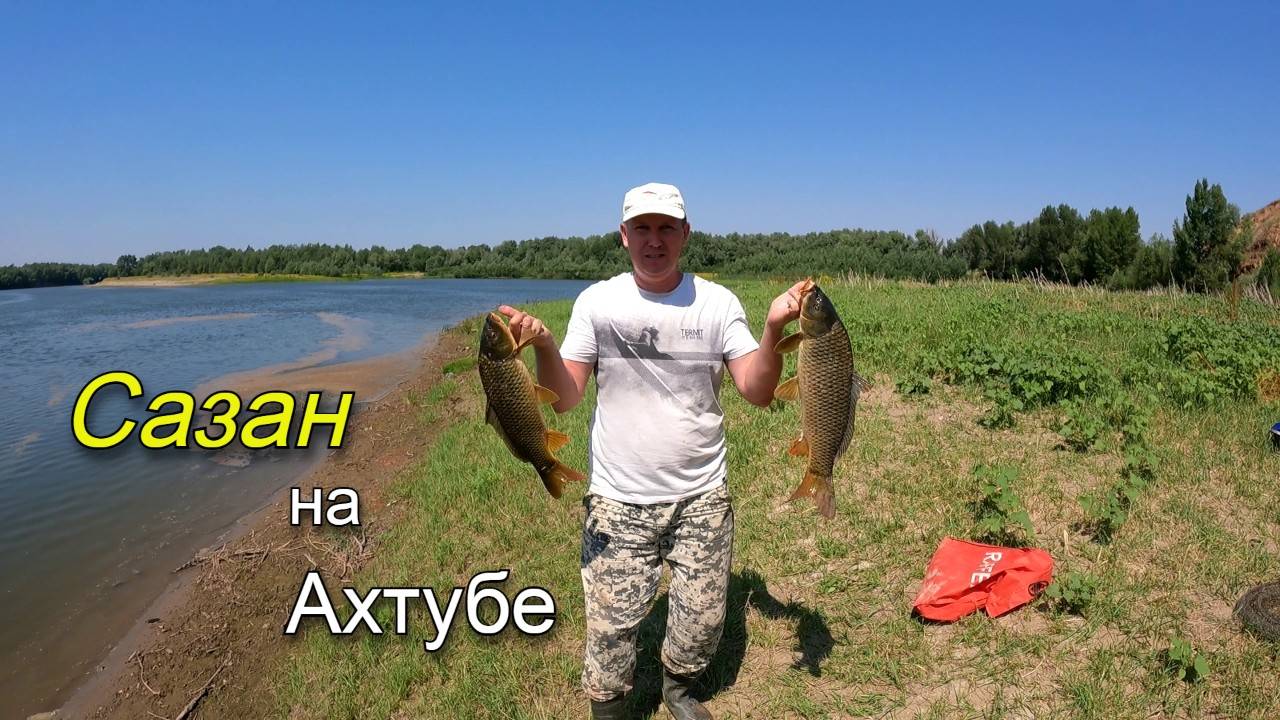 Ловля на донки в июле на реке Ахтуба. Поймал сазана на жмых смотреть онлайн