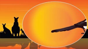 Australian Animals _ Video Flash Cards _ English for Children _ Fun Kids Videos