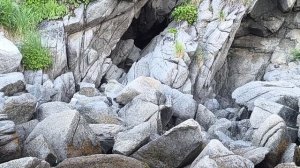 Остров Недоразумения Охотское море рыбы река Окса