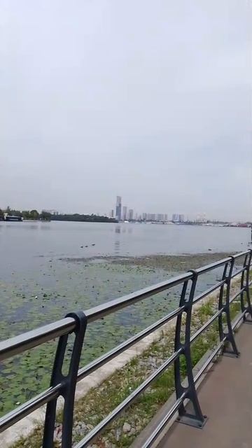 Вид на Москву-реку из парка Печатники смотреть онлайн