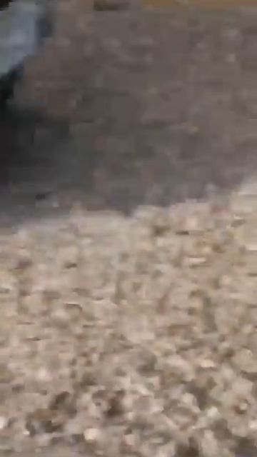 Николаевск-на-Амуре ¦ «Никогда такого не было и вот опять...» ¦ 25 августа 2023 г. (640p_30fps_H264-