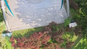 Пятый элемент Диво Остров Санкт Петербург От первого лица