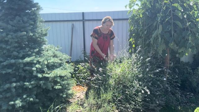 #влог Испорчены каникулы у Сони/ Ситуация на море в Анапе/ Заготовки на зиму/Рецепты смотреть онлайн