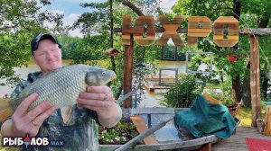 Рыбалка на карпа. Топ бойлы на карпа. Прикормка на карпа. Оснастка, которая косит карпа. Озеро Юхро