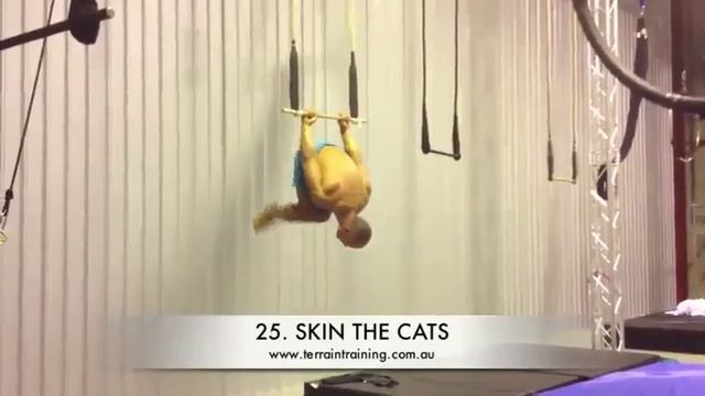 41 упражнение с собственным весом