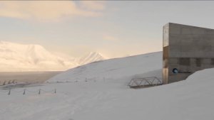 Арктическое хранилище семян