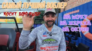Самый уловистый воблер на щуку, жереха и окуня, мой личный топ