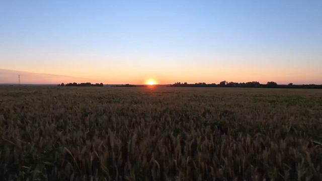 Ремонтов Денис Вечер закатом смотреть онлайн