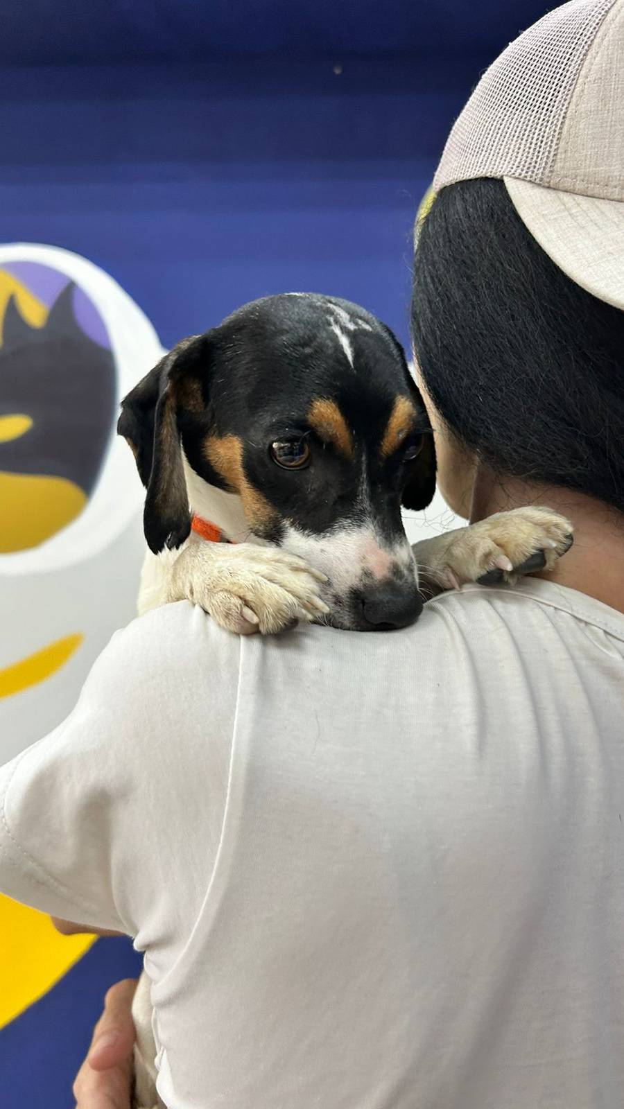 Скромный Никель