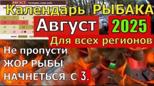 Прогноз клева рыбы на АВГУСТ 2025 года. Лунный календарь рыбака. Календарь рыбака на АВГУСТ