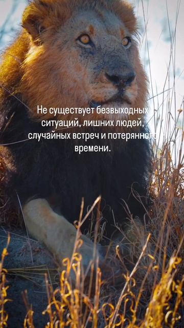 Правда смотреть онлайн