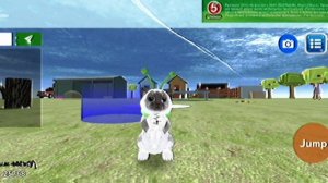 кошка симулятор