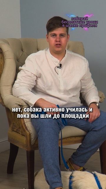 🎁Бесплатные уроки. Жми сюда! смотреть онлайн