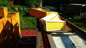 Кочёвка 25- и снова сдрассьте