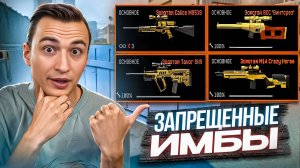 ЮТУБЕРЫ ПОКАЗАЛИ НА ЧТО СПОСОБНЫ ЗАПРЕЩЕННЫЕ ИМБЫ в Warface