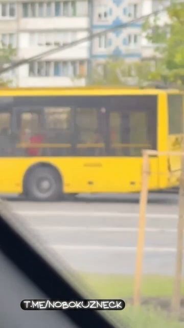 Аркаинский тигр.#shorts смотреть онлайн