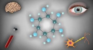 ... Витамин В8 ( Инозитол) - Какая роль в организме Человека....