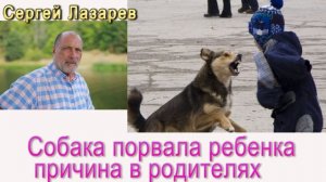 Сергей Николаевич Лазарев Собака порвала ребенка причина в высокой гордыне родителей