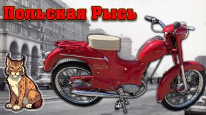 РЕДКИЙ ПОЛЬСКИЙ МОПЕД. Обзор "Rys” Mr1B 1963 г.в.