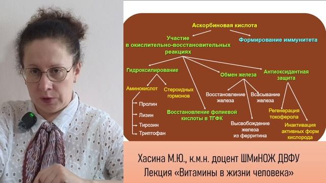 2025-07-30_15-29-37 смотреть онлайн