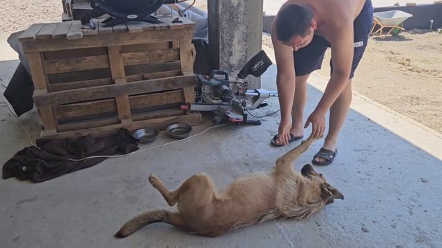 56.Новый этап жизни смотреть онлайн