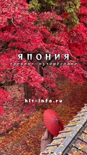 ИСЧЕЗНОВЕНИЕ в МГНОВЕНИИ. Путешествие в ЯПОНИЮ #shorts #свобода #осознанность #еленаачкасова смотреть онлайн