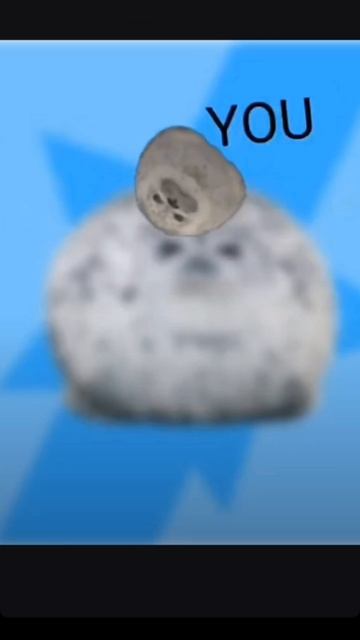 тюлень🦭♡ анимка