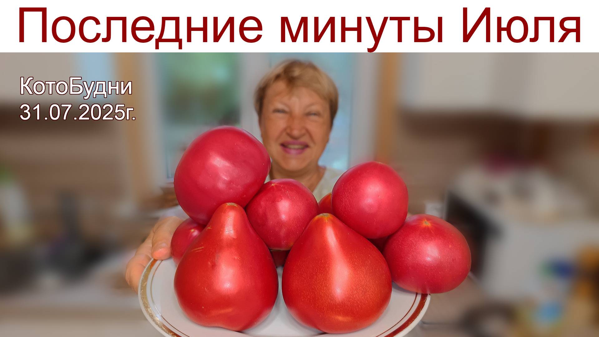 Июль с грозой, июльский воздух, снял комнаты у нас внаем или КОТоБудни от 31.07.2025г. смотреть онлайн
