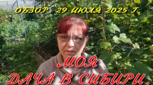 МОЯ ДАЧА В СИБИРИ. ОБЗОР. 29 ИЮЛЯ 2025г.