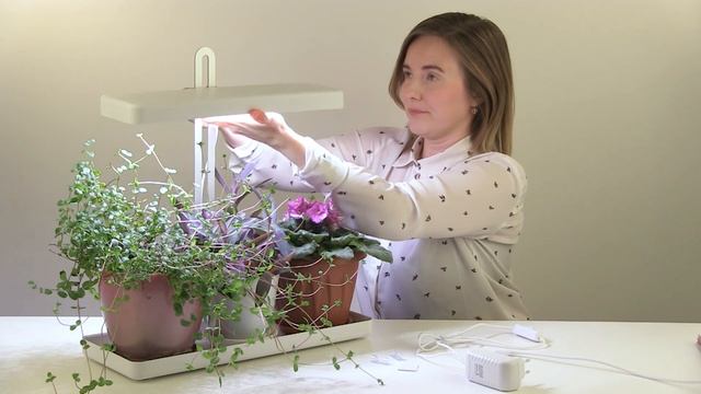 Фитосветильник ЭРА с поддоном — для дома, офиса и здорового образа жизни смотреть онлайн