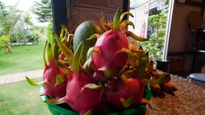 Обзор The Terrace. Туристическое местечко!