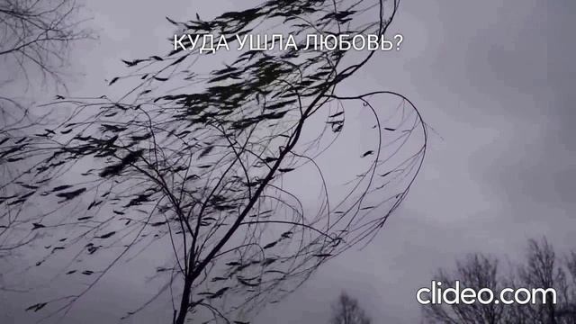 Куда ушла любовь