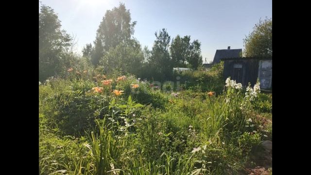 9167887 смотреть онлайн