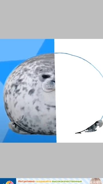 рисую тюленя 1 часть