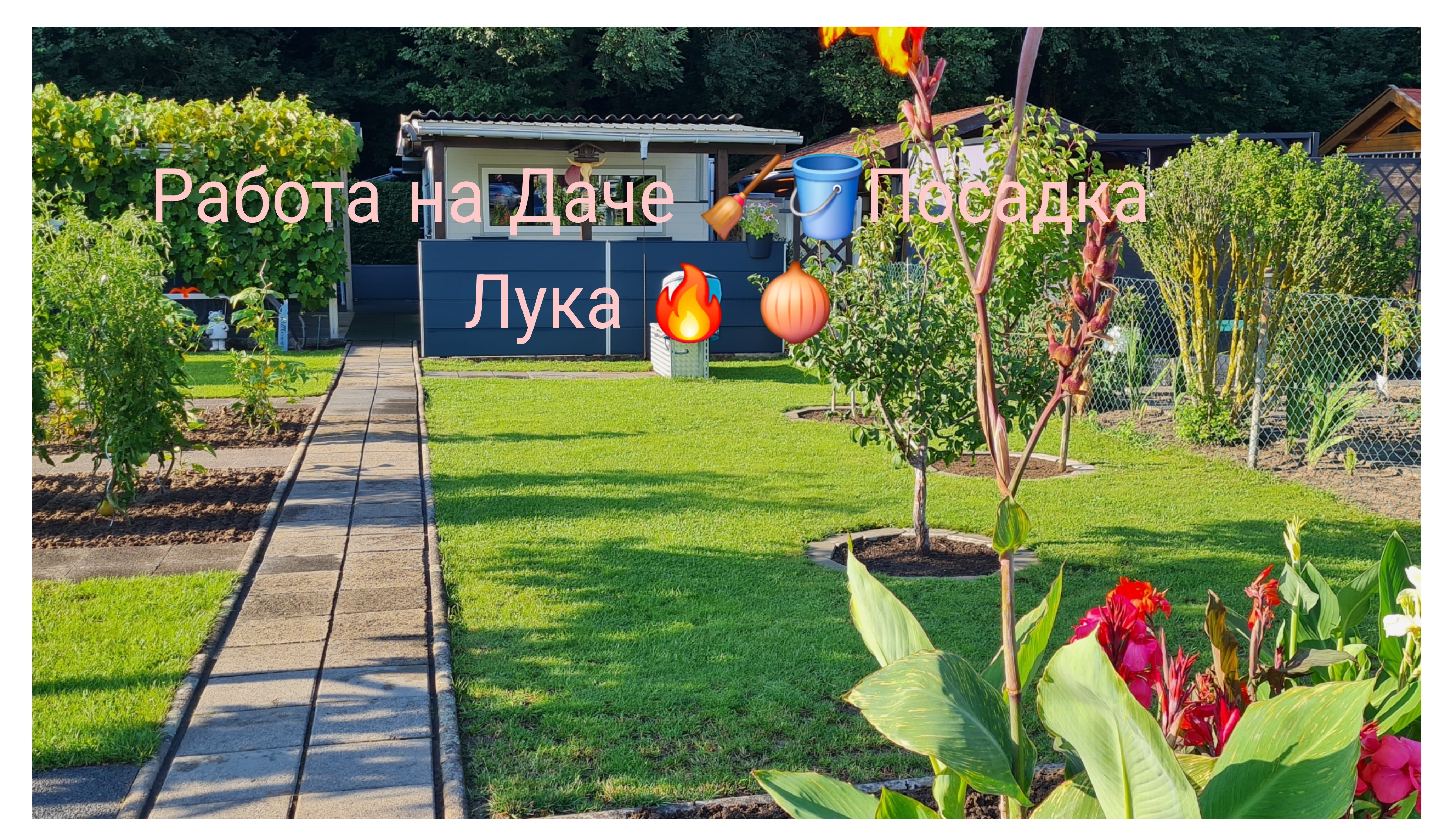 Наша Дача в Германии 🏕 🇩🇪/Работа на Даче не заканчивается 🪣🧹🍂Посадка Лука 🧅🔥/Убрала Ботву смотреть онлайн
