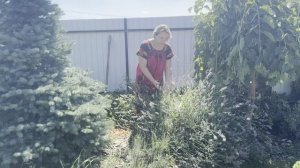 #влог Соня сломала ногу/ Ситуация на пляже Анапы/Рецепты/Заготовки/Урожай