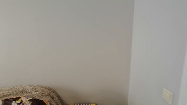 1000028748.mp4 смотреть онлайн