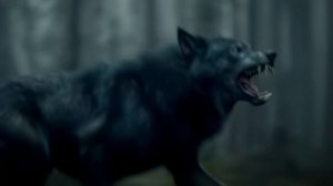 2388 год, планета Terra 9.