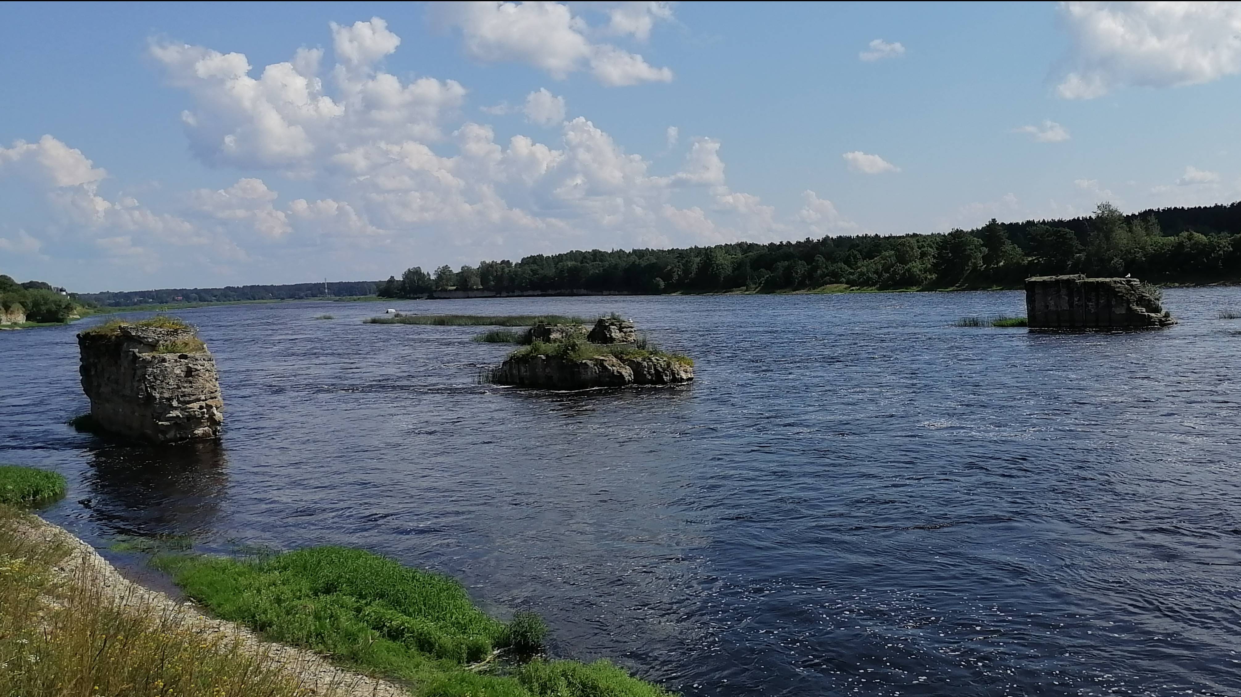 Земельный участок в д.Раздолье Псковская область